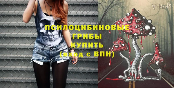 шишки Баксан