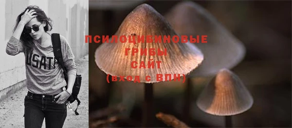 шишки Баксан