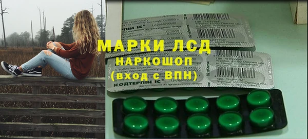 шишки Баксан