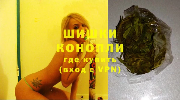 шишки Баксан